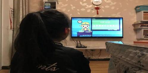 课本教材生成器 