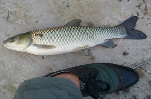 轻颜p图app福利版 